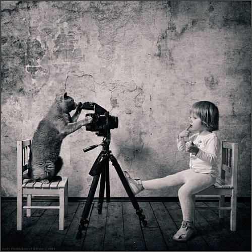 Советы фотографам, изучающим видеосъемку.