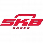 SKB Cases